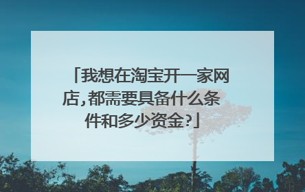 我想在淘宝开一家网店,都需要具备什么条件和多少资金?