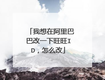 我想在阿里巴巴改一下旺旺ID,怎么改