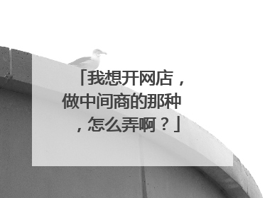 我想开网店，做中间商的那种，怎么弄啊？