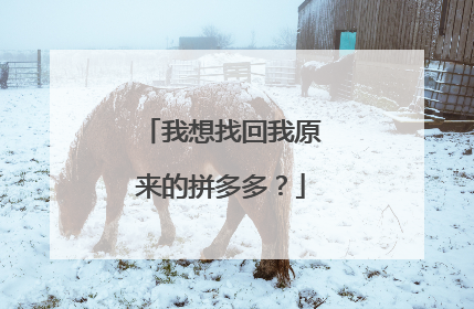 我想找回我原来的拼多多?