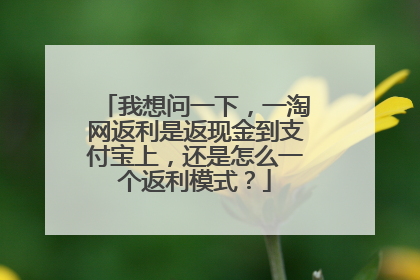 我想问一下,一淘网返利是返现金到支付宝上,还是怎么一个返利模式?