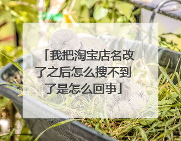 我把淘宝店名改了之后怎么搜不到了是怎么回事