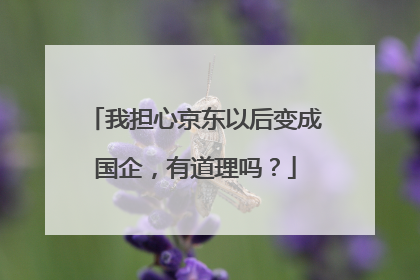 我担心京东以后变成国企,有道理吗?