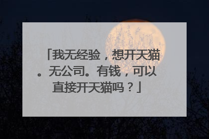 我无经验,想开天猫。无公司。有钱,可以直接开天猫吗?