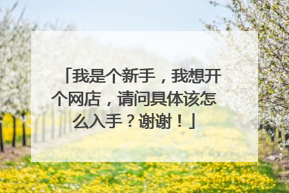 我是个新手，我想开个网店，请问具体该怎么入手？谢谢！