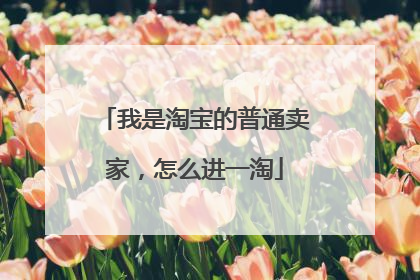 我是淘宝的普通卖家，怎么进一淘
