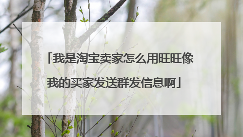 我是淘宝卖家怎么用旺旺像我的买家发送群发信息啊
