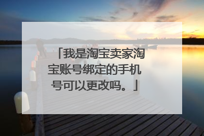 我是淘宝卖家淘宝账号绑定的手机号可以更改吗。