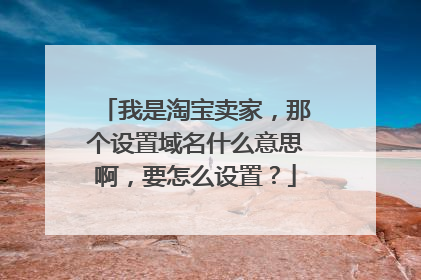 我是淘宝卖家,那个设置域名什么意思啊,要怎么设置?