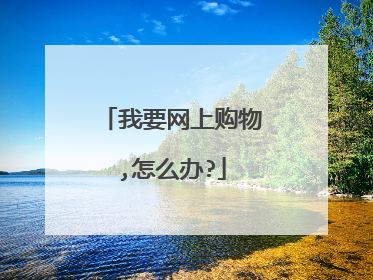 我要网上购物,怎么办?