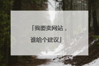 我要卖网站,谁给个建议