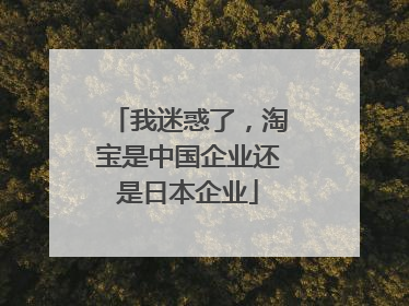 我迷惑了,淘宝是中国企业还是日本企业