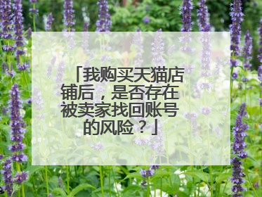 我购买天猫店铺后,是否存在被卖家找回账号的风险?