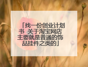 找一份创业计划书 关于淘宝网店主要就是普通的饰品挂件之类的