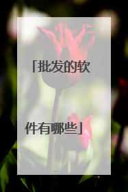 批发的软件有哪些