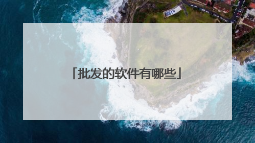 批发的软件有哪些
