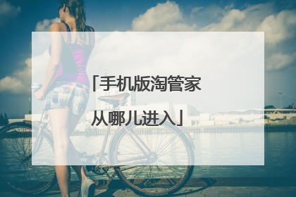 手机版淘管家从哪儿进入