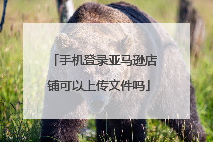 手机登录亚马逊店铺可以上传文件吗