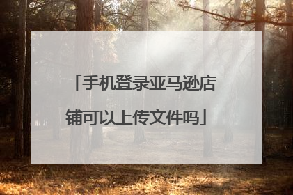 手机登录亚马逊店铺可以上传文件吗