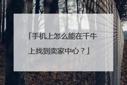 手机上怎么能在千牛上找到卖家中心?