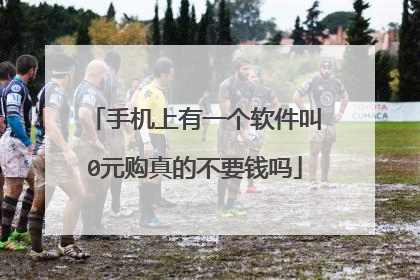 手机上有一个软件叫0元购真的不要钱吗