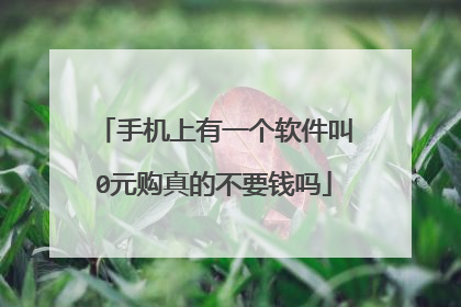 手机上有一个软件叫0元购真的不要钱吗