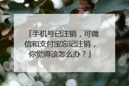 手机号已注销，可微信和支付宝忘记注销，你觉得该怎么办？