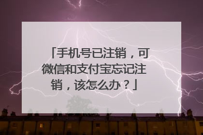 手机号注销了忘解绑了支付宝(手机号注销了忘解绑了支付宝健康码怎么弄回来呀)