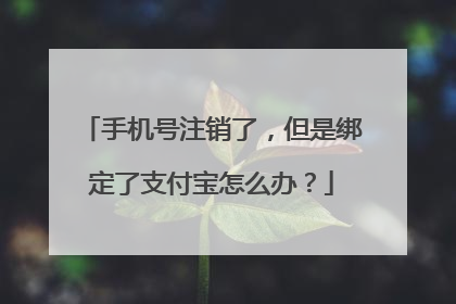 手机号注销了，但是绑定了支付宝怎么办？