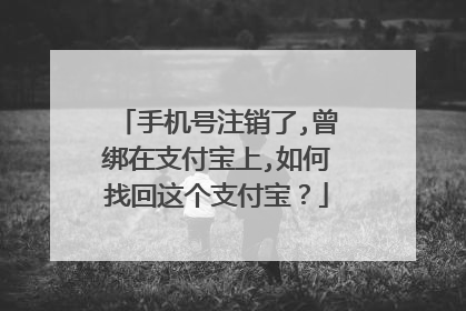 手机号注销了,曾绑在支付宝上,如何找回这个支付宝?
