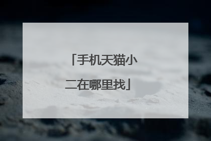 手机天猫小二在哪里找