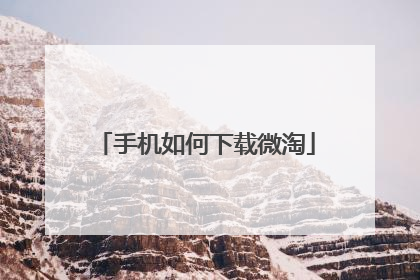 手机如何下载微淘