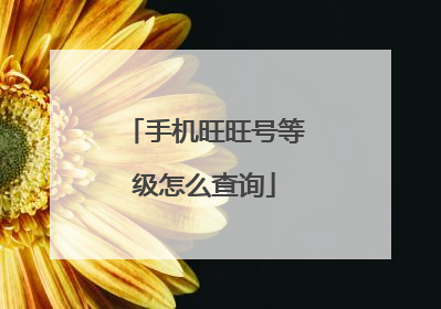 手机旺旺号等级怎么查询