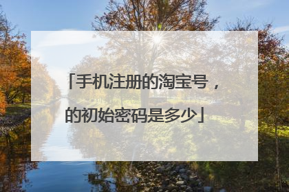 手机注册的淘宝号,的初始密码是多少