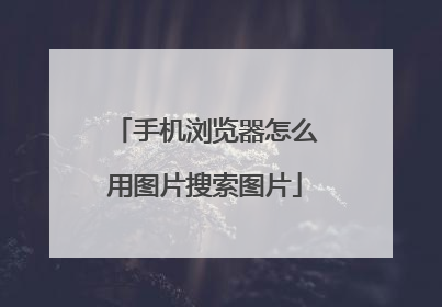 手机浏览器怎么用图片搜索图片