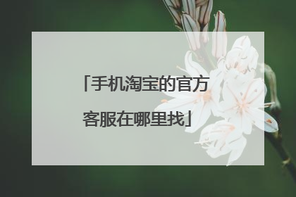手机淘宝的官方客服在哪里找