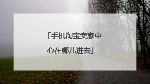 手机淘宝卖家中心在哪儿进去