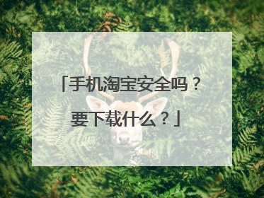 手机淘宝安全吗？ 要下载什么？