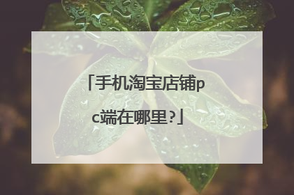 手机淘宝店铺pc端在哪里?