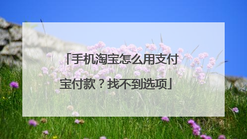 手机淘宝怎么用支付宝付款?找不到选项