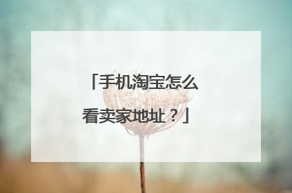 手机淘宝怎么看卖家地址?