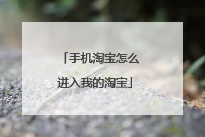 手机淘宝怎么进入我的淘宝