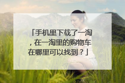 手机里下载了一淘,在一淘里的购物车在哪里可以找到?