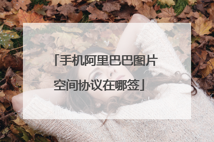 手机阿里巴巴图片空间协议在哪签
