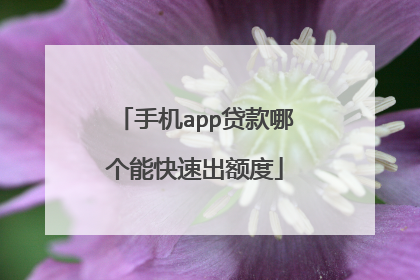 手机app贷款哪个能快速出额度