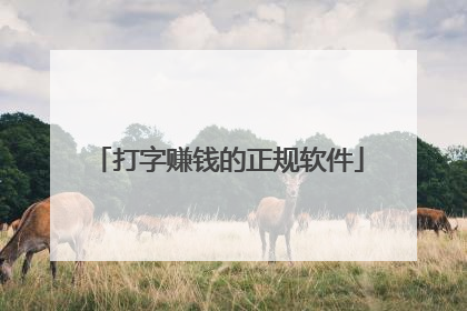 打字赚钱的正规软件