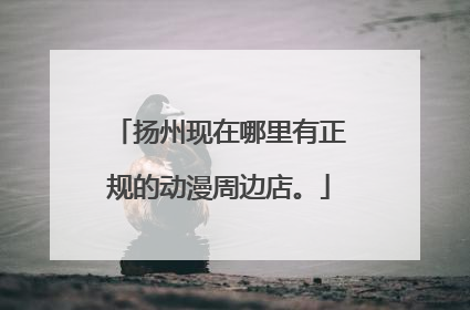 扬州现在哪里有正规的动漫周边店。