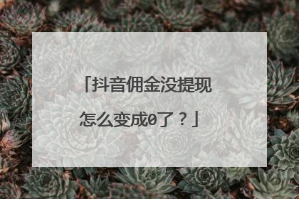 抖音佣金没提现怎么变成0了?