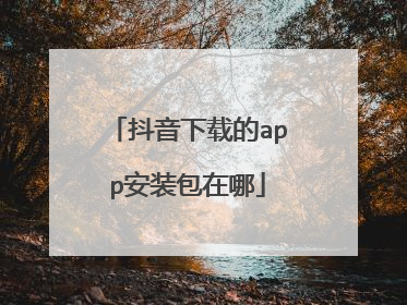 抖音下载的app安装包在哪