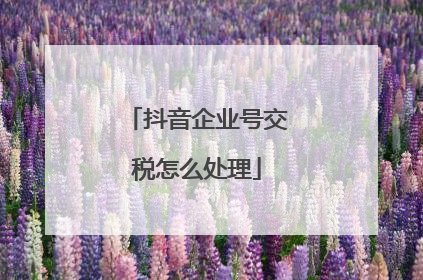 抖音企业号交税怎么处理